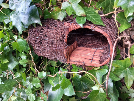 nest box
